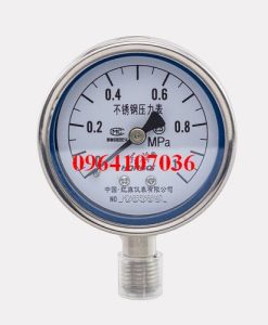 Đồng hồ áp suất Y-60BF
