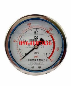 Đồng hồ áp suất YN100-Z