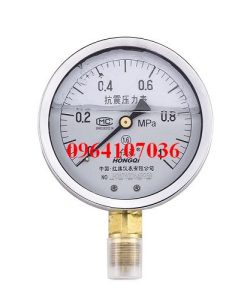 Đồng hồ áp suất YTN-100