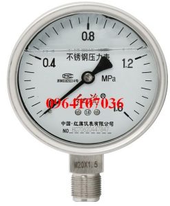 Đồng hồ áp suất YTN-100BF