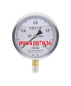 Đồng hồ áp suất YTN-150