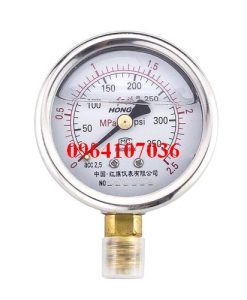 Đồng hồ áp suất YTN-60